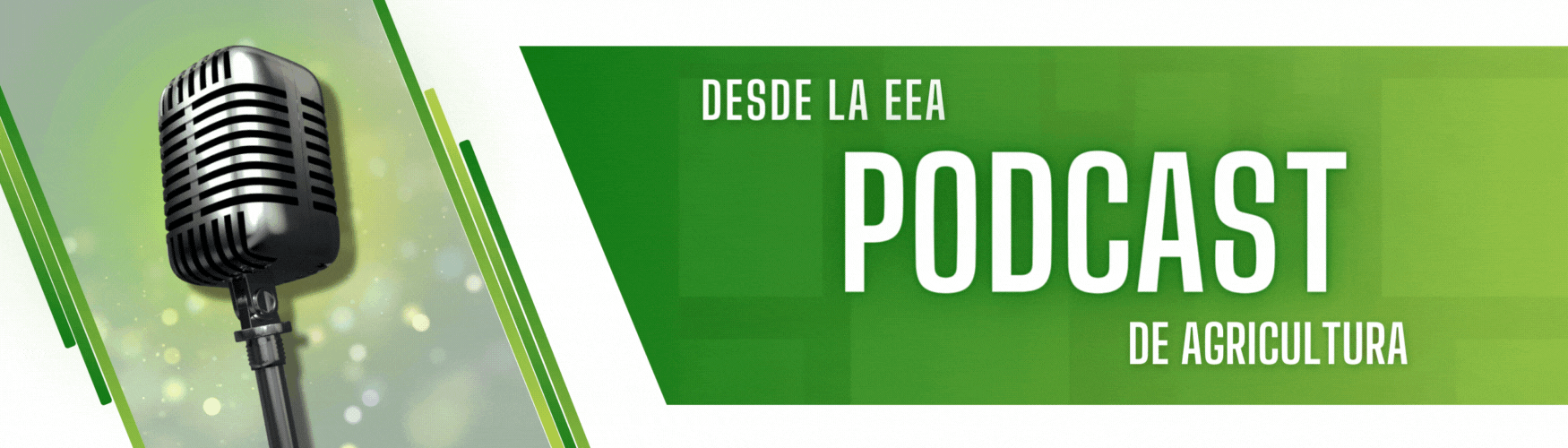 Desde La EEA Podcast